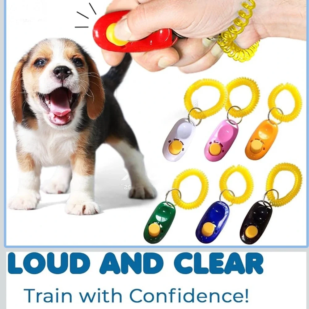 Pet 🪢 Walk & Play Bundle - 6 Pieces